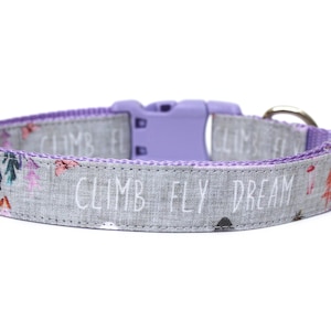 Hondenhalsband meisjes 1&quot; zomerhalsband avontuurlijke hondenhalsband