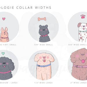 May include: Illustration showing dog collar widths. The text reads "Wagologie Collar Widths." Six cartoon dogs are depicted with collars of varying widths, ranging from 3/8" to 2". Each dog is inside a circle with a decorative element above.
