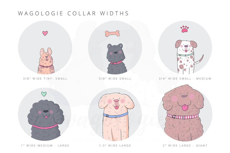 May include: Illustration showing dog collar widths. The text reads "Wagologie Collar Widths." Six cartoon dogs are depicted with collars of varying widths, ranging from 3/8" to 2". Each dog is inside a circle with a decorative element above.