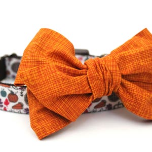 May include: A bright orange bow tie with a checkered pattern, attached to a white and brown dog collar with a Thanksgiving-themed print featuring pumpkins, leaves, and pie.