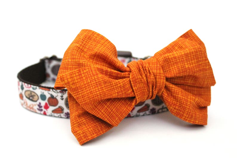 May include: A bright orange bow tie with a checkered pattern, attached to a white and brown dog collar with a Thanksgiving-themed print featuring pumpkins, leaves, and pie.