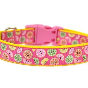Summer Dog Collar 1&quot; Lemon Dog Collar Pink Dog Collar
