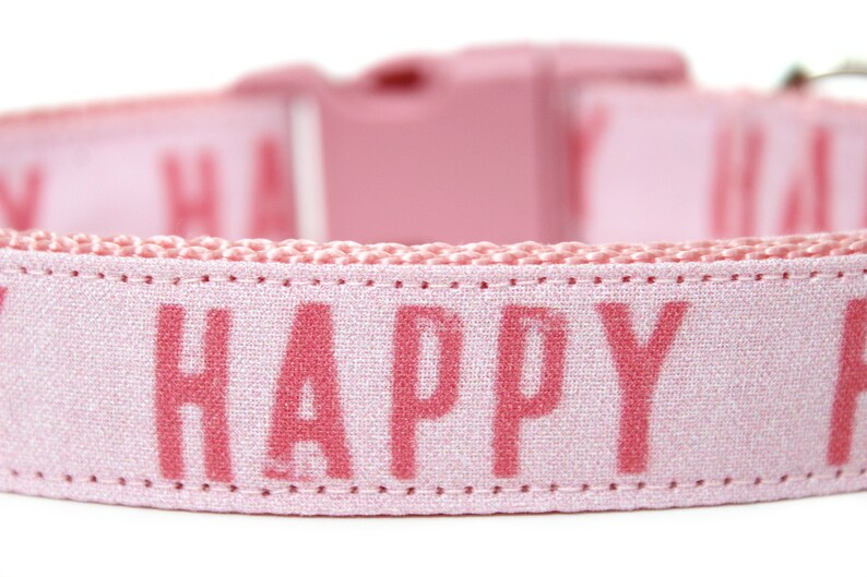 May include: Pink dog collar with the word "HAPPY" printed in pink on the front.