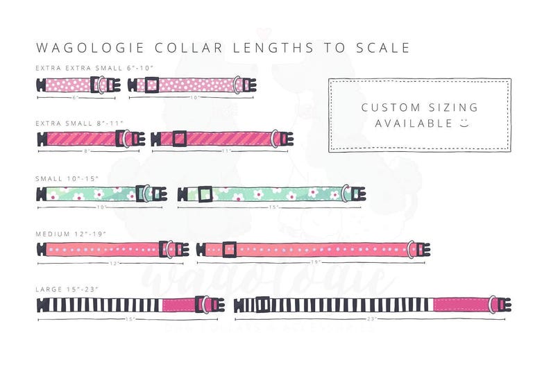 May include: A chart showing the different lengths of dog collars available, from extra extra small to large. The collars are shown to scale, with measurements in inches. The text "WAGOLOGIE COLLAR LENGTHS TO SCALE" is at the top of the chart. The text "CUSTOM SIZING AVAILABLE" is in a box at the top right of the chart.