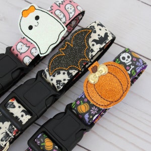 May include: Halloween-themed dog collars with black plastic buckles. Collars feature patterns of ghosts, bats, pumpkins, and skulls. Each collar has a glittery applique of a ghost, bat, or pumpkin.