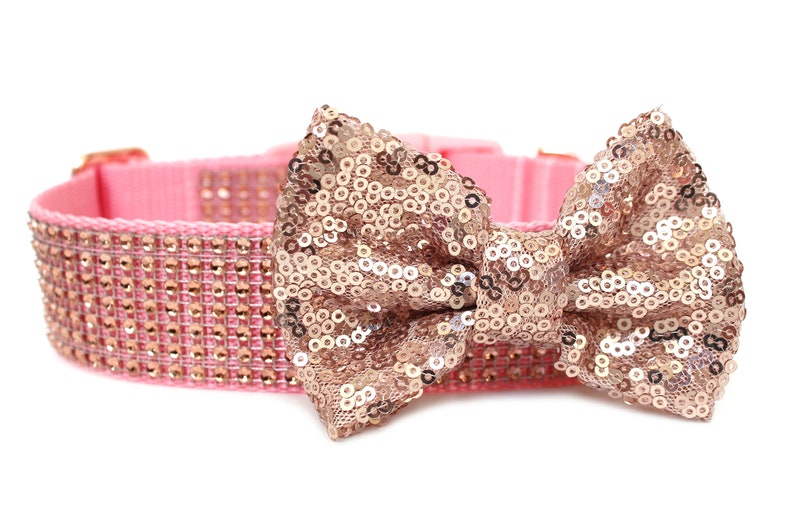 Rose Gold Dog Collar 1 or 1.5 Rhinestone Dog Collar image 4