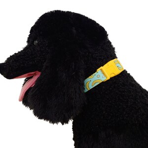 Banana Dog Collar 3/4 or 1 Boy Dog Collar Bananas Dog Collar Fun Dog Collar image 4