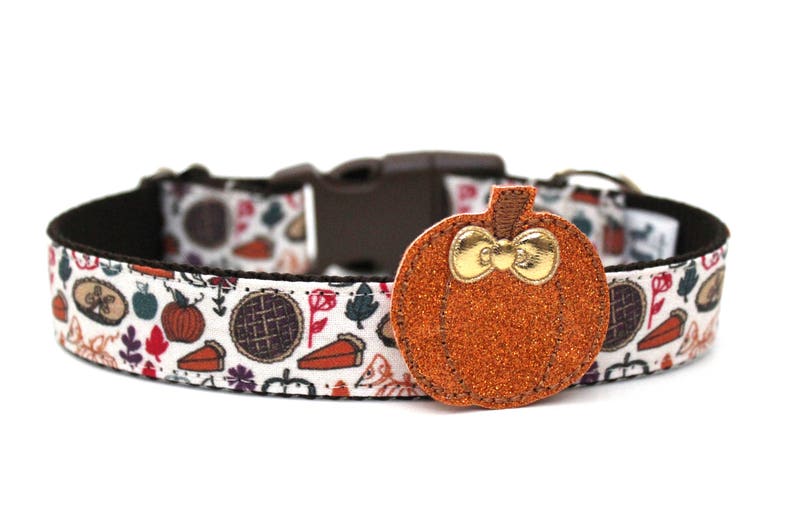 May include: A dog collar with a white background featuring a fall-themed pattern of pumpkins, pies, and leaves. The collar has a brown buckle and a decorative orange pumpkin charm with a gold bow. The collar is approximately 1 inch wide.