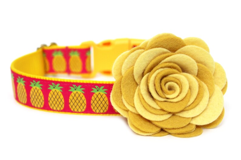 Pineapple Dog Collar 1 Summer Dog Collar Etsy