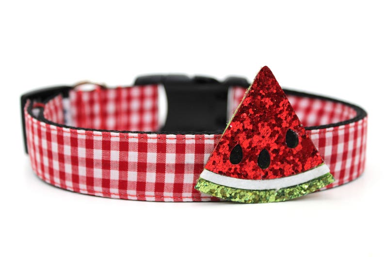 May include: A red and white gingham dog collar with a black buckle and a watermelon-shaped embellishment. The watermelon slice is red with black seeds and a green glitter rind.