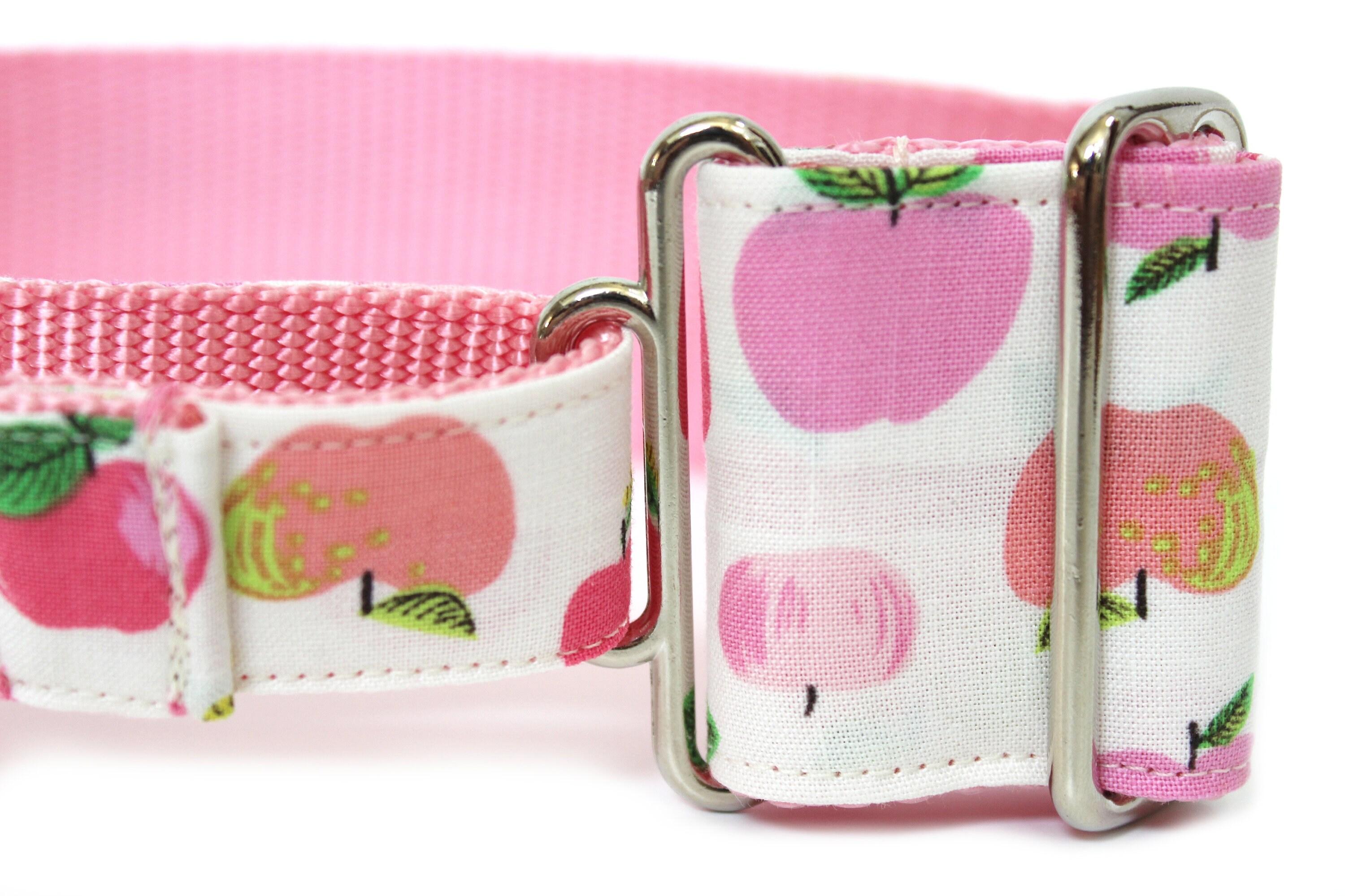 Apple Dog Collar 2 wide Martingale Dog Collar for Large Etsy