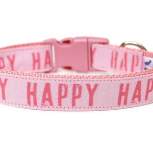 May include: Pink dog collar with a silver buckle and the word "HAPPY" repeated on the collar.
