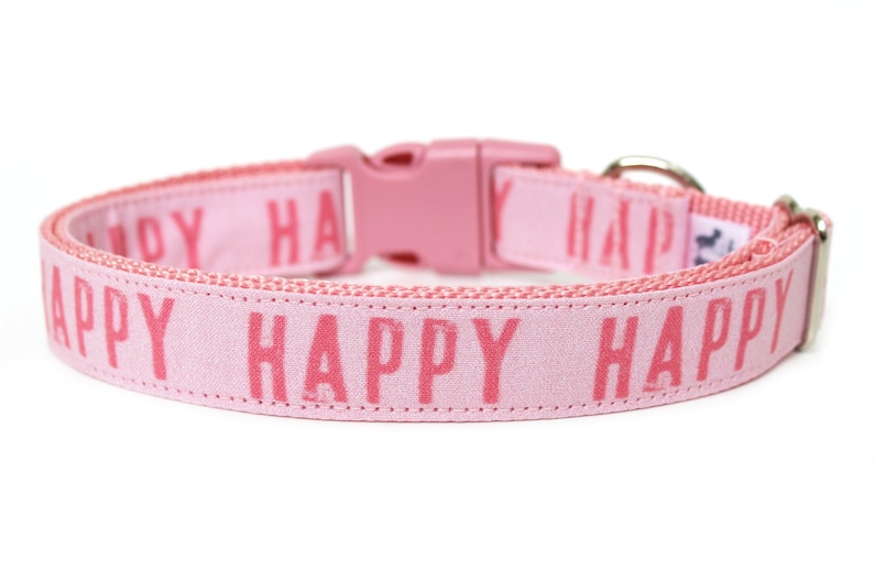 May include: Pink dog collar with a silver buckle and the word "HAPPY" repeated on the collar.