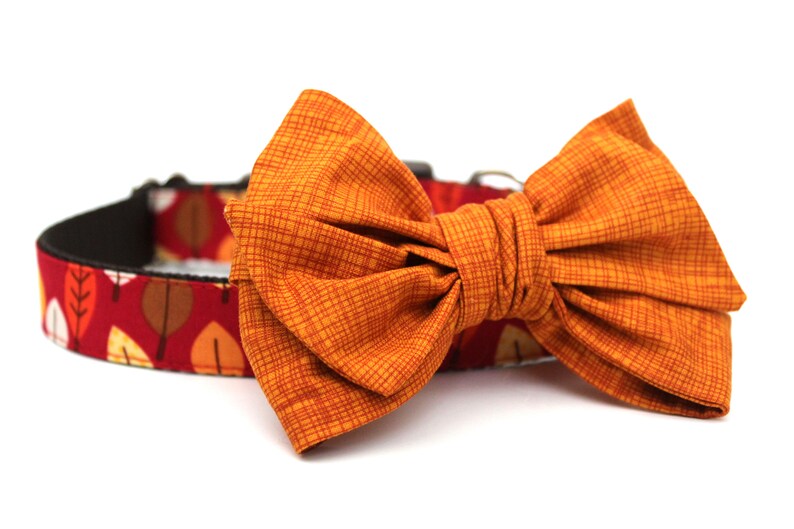 Autumn Leaves Dog Collar 1 Fall Dog Collar Autumn Dog Etsy