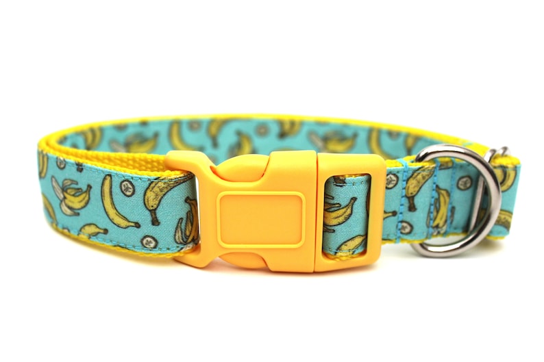 Banana Dog Collar 3/4 or 1 Boy Dog Collar Bananas Dog Collar Fun Dog Collar image 3