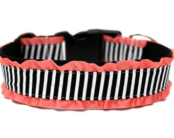 Black and White Striped Dog Collar 1.5" Coral Ruffle Dog Collar