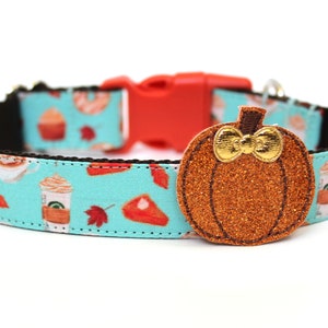 May include: A teal dog collar with a fall-themed pattern featuring coffee cups, cupcakes, and maple leaves. The collar has an orange buckle and a sparkly orange pumpkin charm with a gold bow.