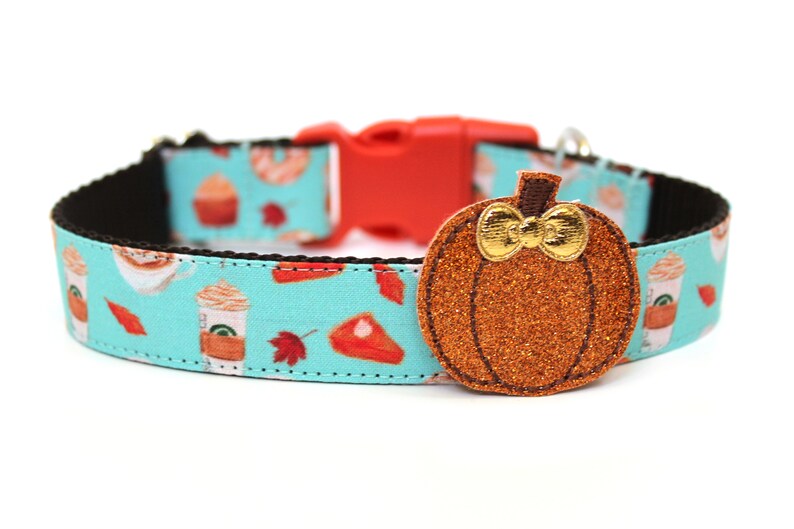 May include: A teal dog collar with a fall-themed pattern featuring coffee cups, cupcakes, and maple leaves. The collar has an orange buckle and a sparkly orange pumpkin charm with a gold bow.