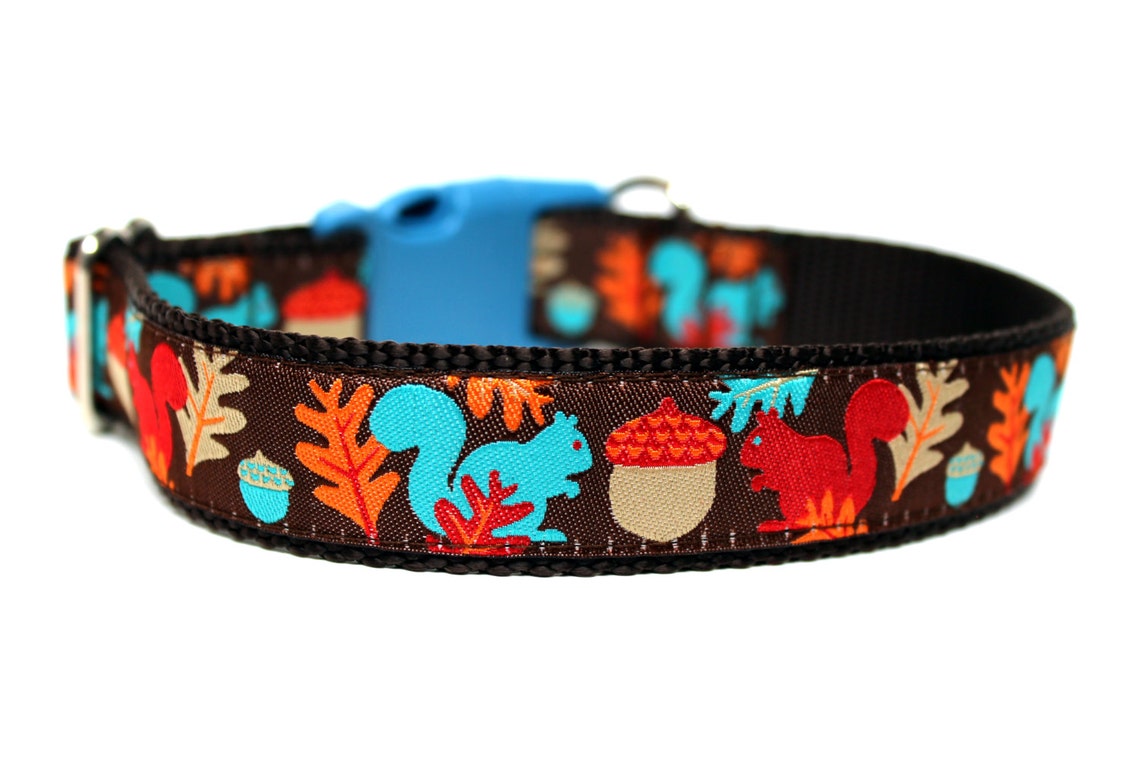 Squirrel Dog Collar 1 Fall Dog Collar Etsy