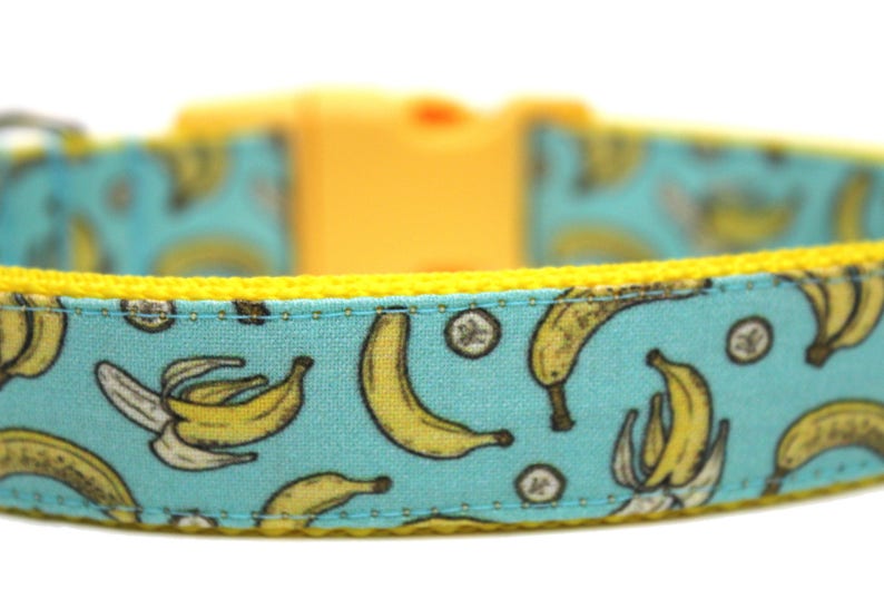 Banana Dog Collar 3/4 or 1 Boy Dog Collar Bananas Dog Collar Fun Dog Collar image 2