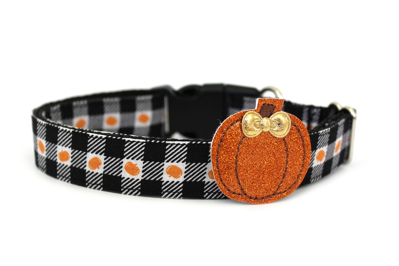 May include: Black and white plaid dog collar with orange pumpkin accents. The collar features a black plastic buckle and a decorative orange glitter pumpkin charm with a gold bow. A festive accessory for pets.