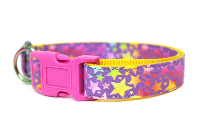 Rainbow Dog Collar 1 Star Dog Collar