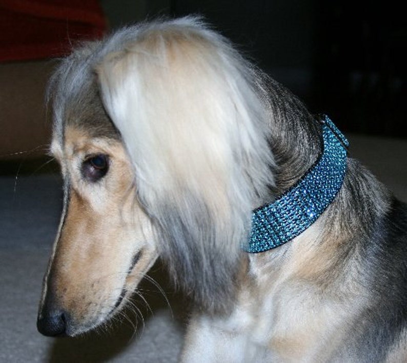 Turquoise Dog Collar 1.5 Rhinestone Dog Collar image 3