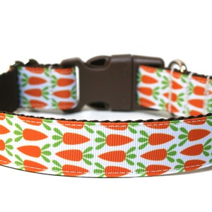 Easter Dog Collar 1&quot; Spring Dog Collar