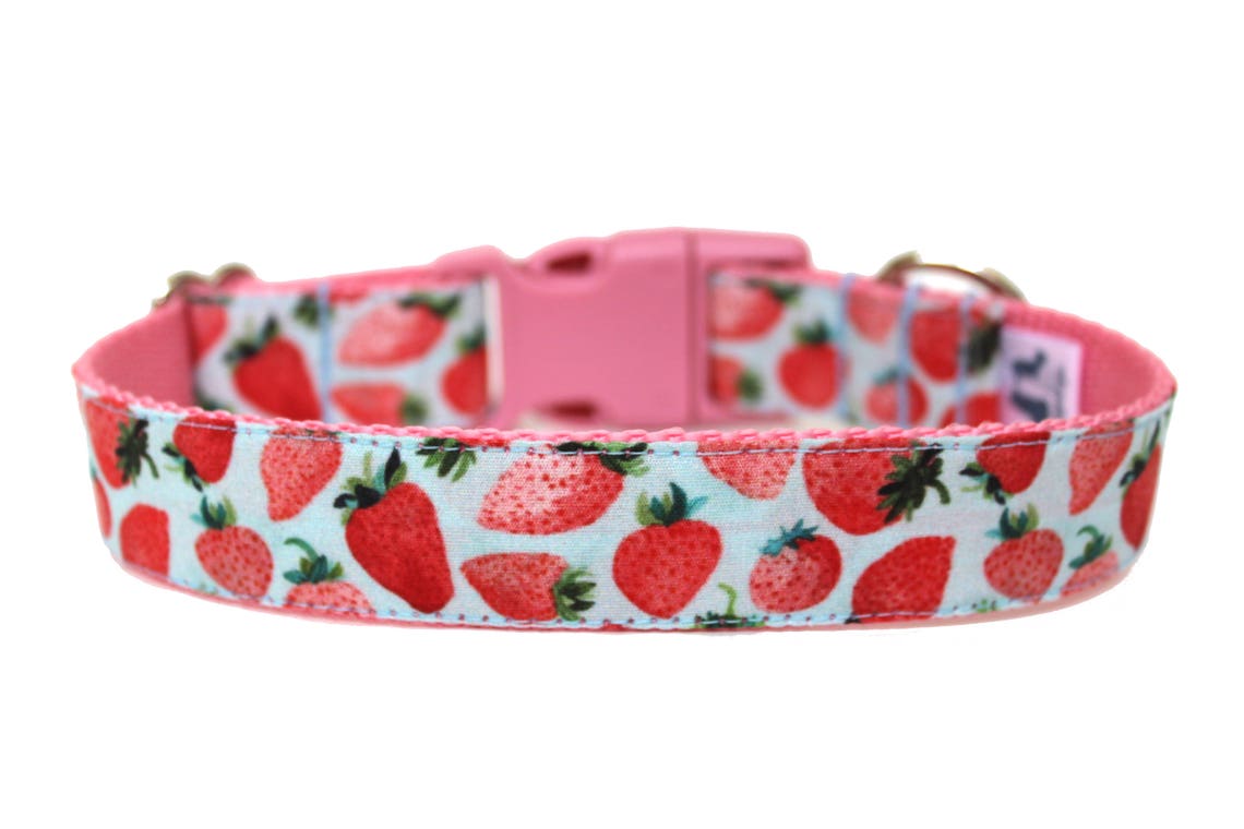 Strawberry Dog Collar 1 Summer Dog Collar Etsy