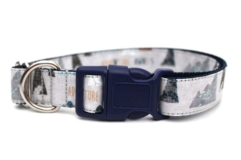 Boy Dog Collar 3/4 or 1 Adventure Dog Collar Mountain Dog Collar Outdoors Dog Collar image 2