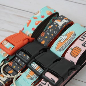 May include: Four different dog collars with fall-themed prints. The collars are turquoise, black, pink, and turquoise. The prints include pumpkins, pie, and fall leaves. The collars have black and orange buckles.