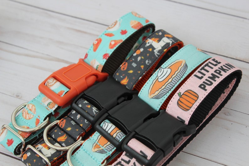 May include: Four different dog collars with fall-themed prints. The collars are turquoise, black, pink, and turquoise. The prints include pumpkins, pie, and fall leaves. The collars have black and orange buckles.