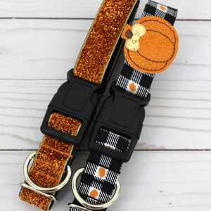 May include: Two dog collars. One is orange glitter, the other is black and white checkered with orange pumpkin accents. Both have black plastic buckles and silver metal D-rings.
