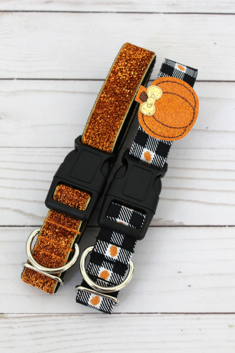 May include: Two dog collars. One is orange glitter, the other is black and white checkered with orange pumpkin accents. Both have black plastic buckles and silver metal D-rings.