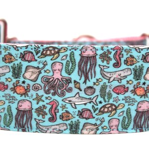 May include: A blue and pink fabric collar with a sea life pattern. The pattern includes seahorses, jellyfish, whales, turtles, and octopuses.