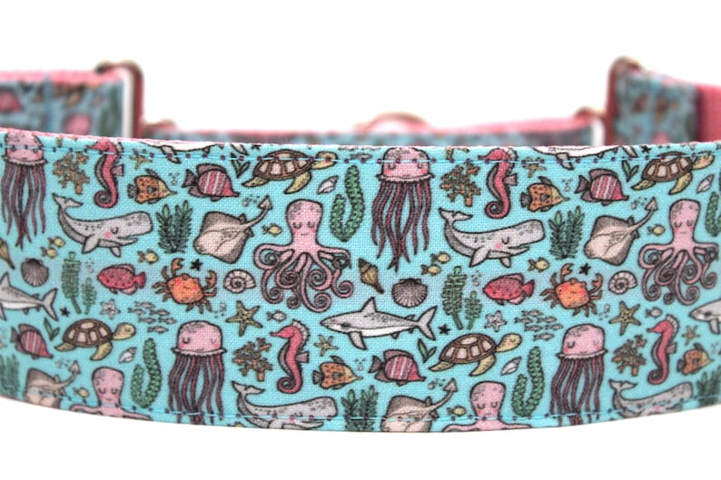 May include: A blue and pink fabric collar with a sea life pattern. The pattern includes seahorses, jellyfish, whales, turtles, and octopuses.