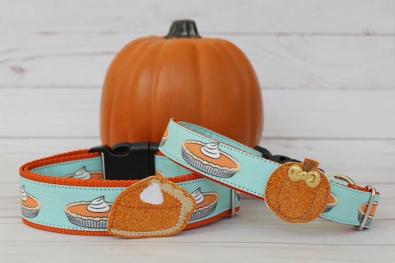 May include: Two dog collars with a pumpkin pie theme. One collar has a pumpkin pie slice with whipped cream and a brown crust. The other collar has a pumpkin with a gold bow. Both collars are on a white wooden surface.