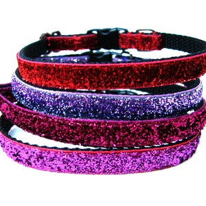 May include: Four sparkly cat collars in shades of pink, red, and purple. The collars are made of velvet and have a glittery finish.