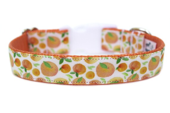 peach dog collar