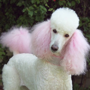 Rhinestone Martingale Dog Collar 2 Pink Glitter Dog Collar image 8