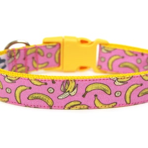 Banana dog collar discount