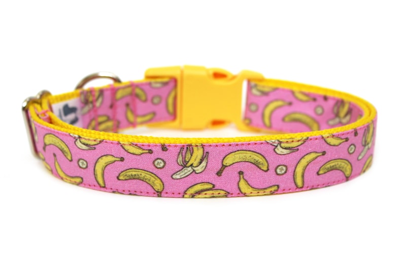 Banana Dog Collar 3/4 or 1 Girl Dog Collar Etsy