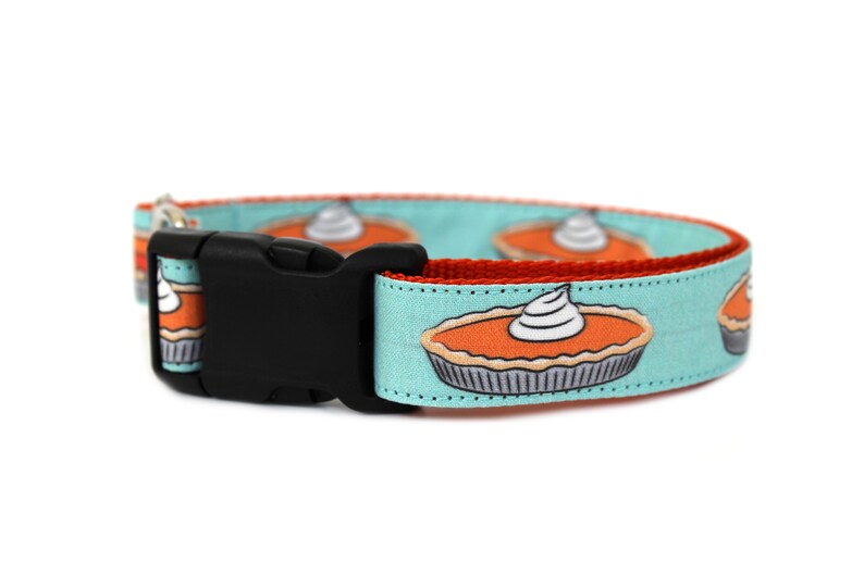 May include: A turquoise blue dog collar with a red trim and a repeating pattern of pumpkin pies with whipped cream. The collar has a black plastic buckle.