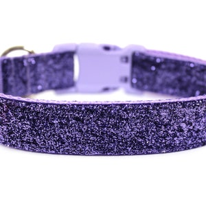 Purple Dog Collar 1" Purple Glitter Dog Collar