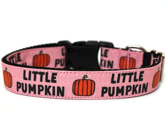 Pumpkin Dog Collar 1" Fall Dog Collar