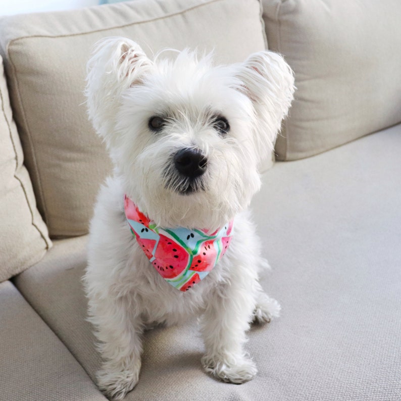 Watermelon Dog Bandana Gingham Dog Bandana
