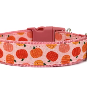 Pumpkin Dog Collar 1&quot; or 1.5&quot; Fall Dog Collar Pink Dog Collar