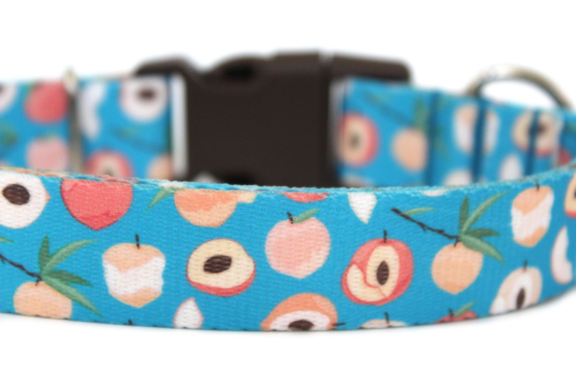 Peach Dog Collar 1 Peaches Dog Collar Turquoise Dog Etsy