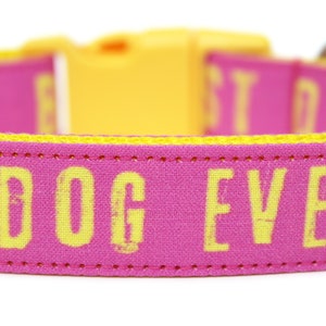 Best Dog Ever Dog Collar 1 Pink Dog Collar image 2