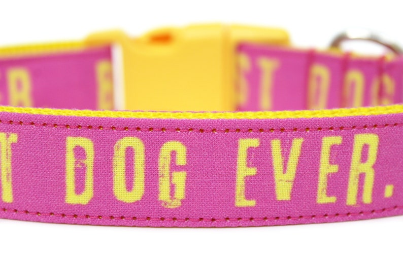 Best Dog Ever Dog Collar 1 Pink Dog Collar image 2